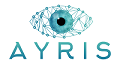 Ayris — информационная безопасность Вашей компании.